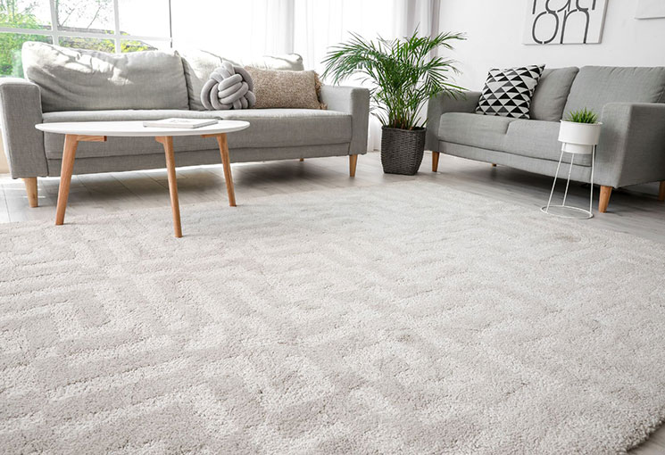 Get the Carpet of Your Dreams: Carpet Store in Maryland