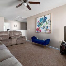 portfolio-carpet-11-10-2023-19