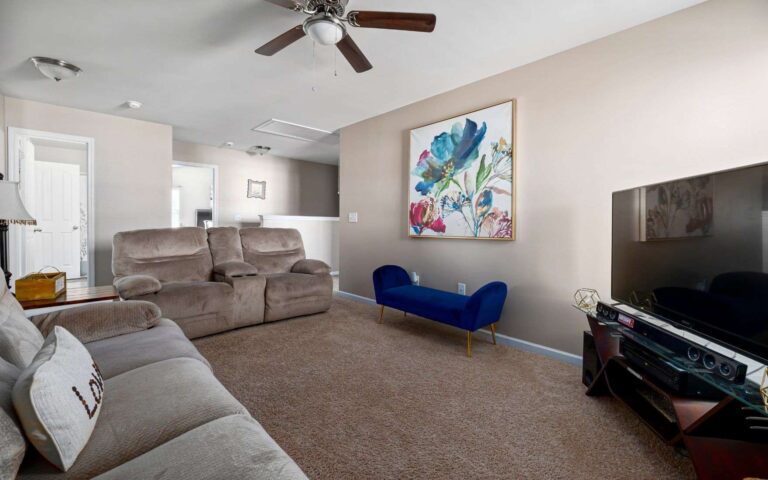 portfolio-carpet-11-10-2023-19